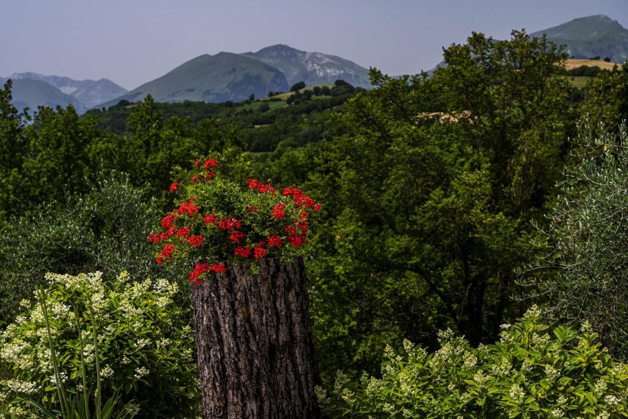 Bed and Breakfast Casa Friano Amandola Exterior foto